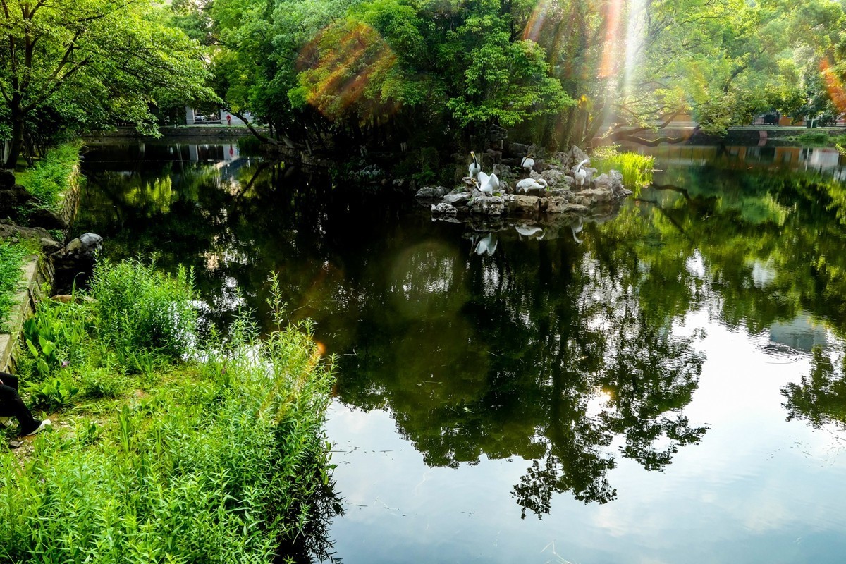 武汉“中山公园”掠影