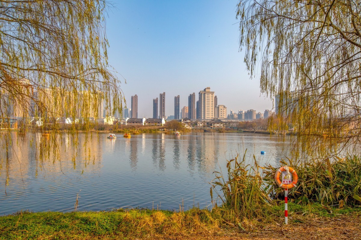 洋湖溼地公園風景9