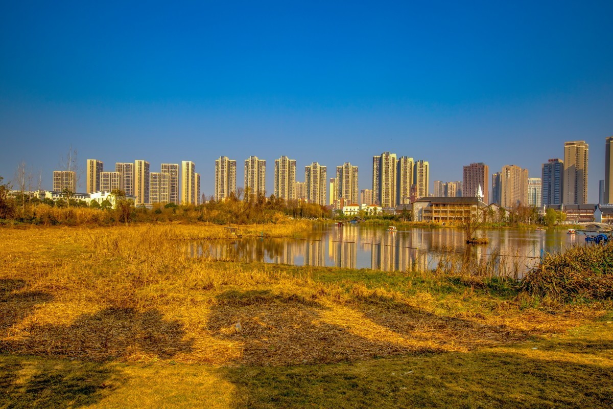 洋湖溼地公園風景9