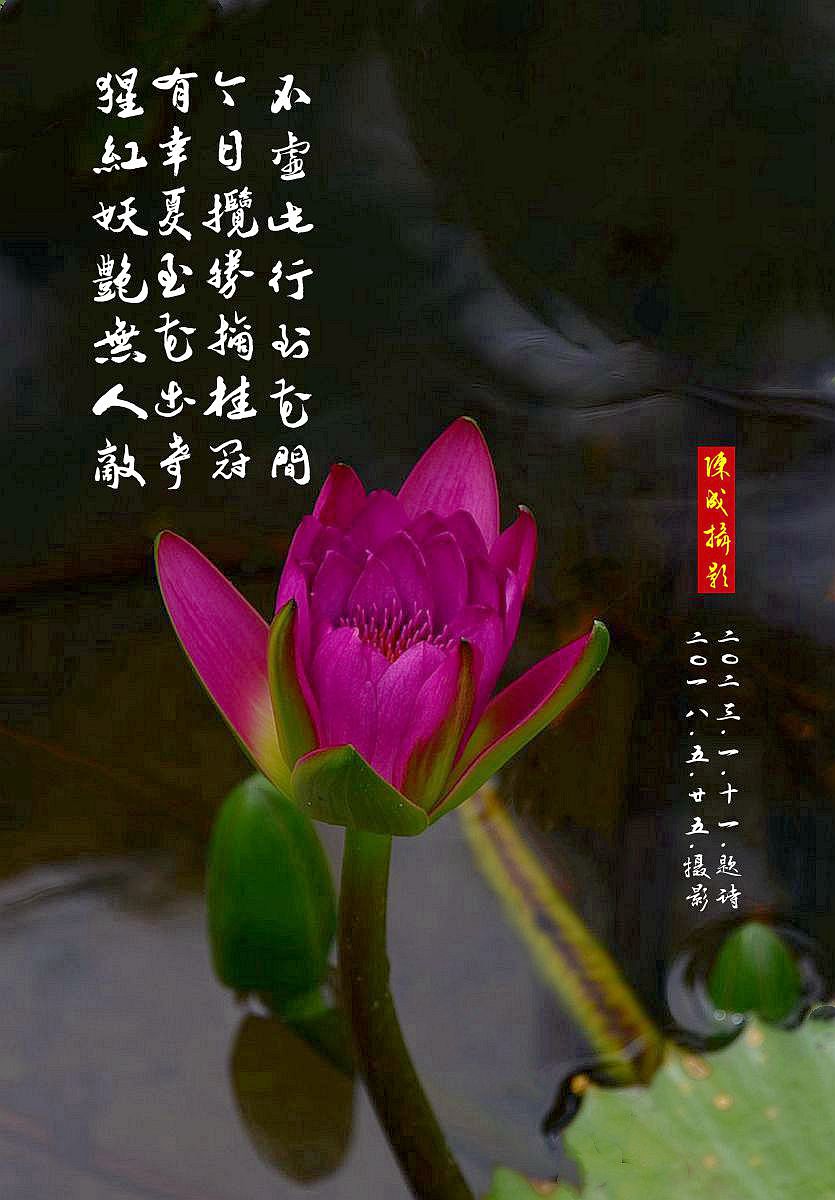 旧作新上      2023.1.15.发表