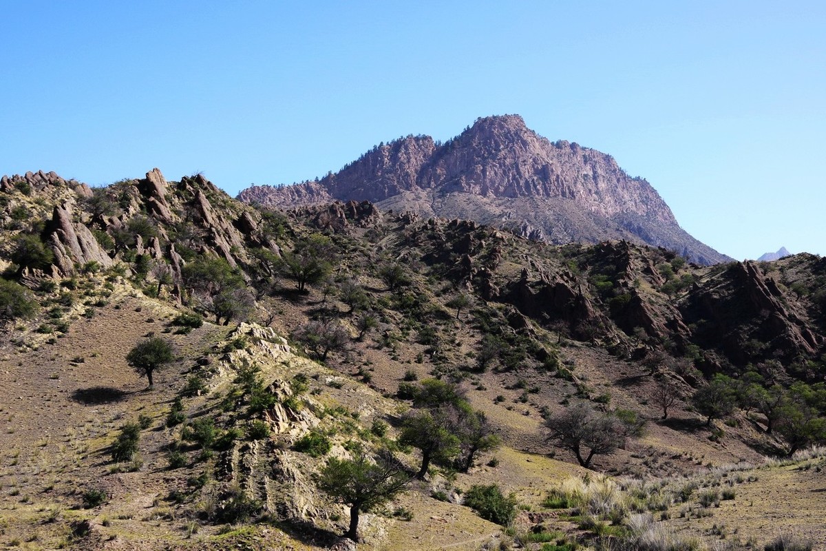 北寺及沿途所见