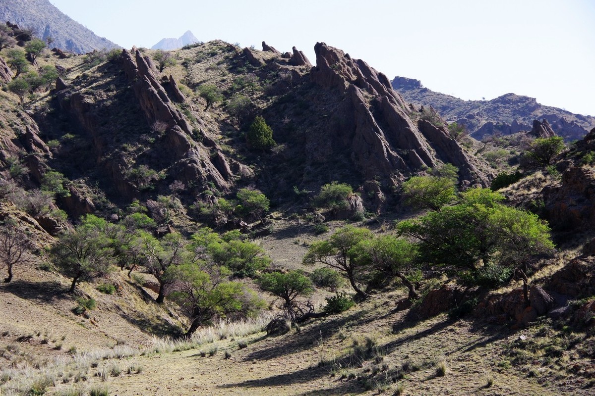 北寺及沿途所见
