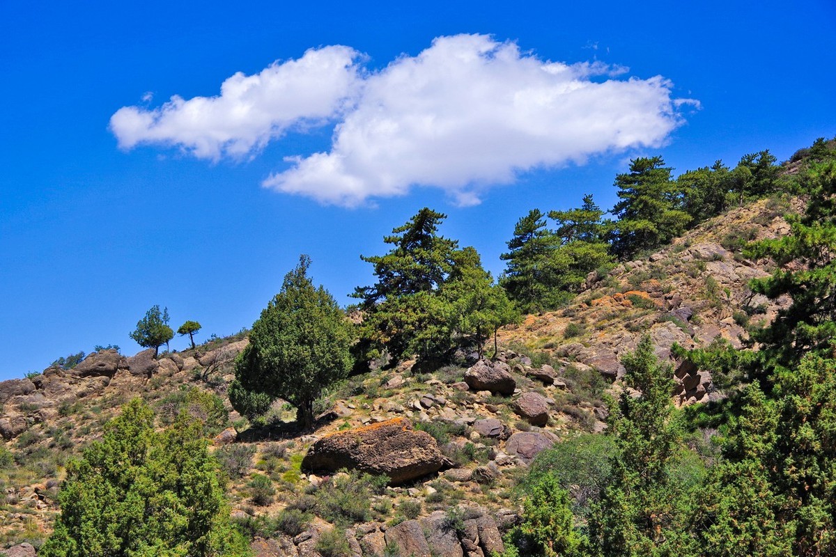 北寺及沿途所见