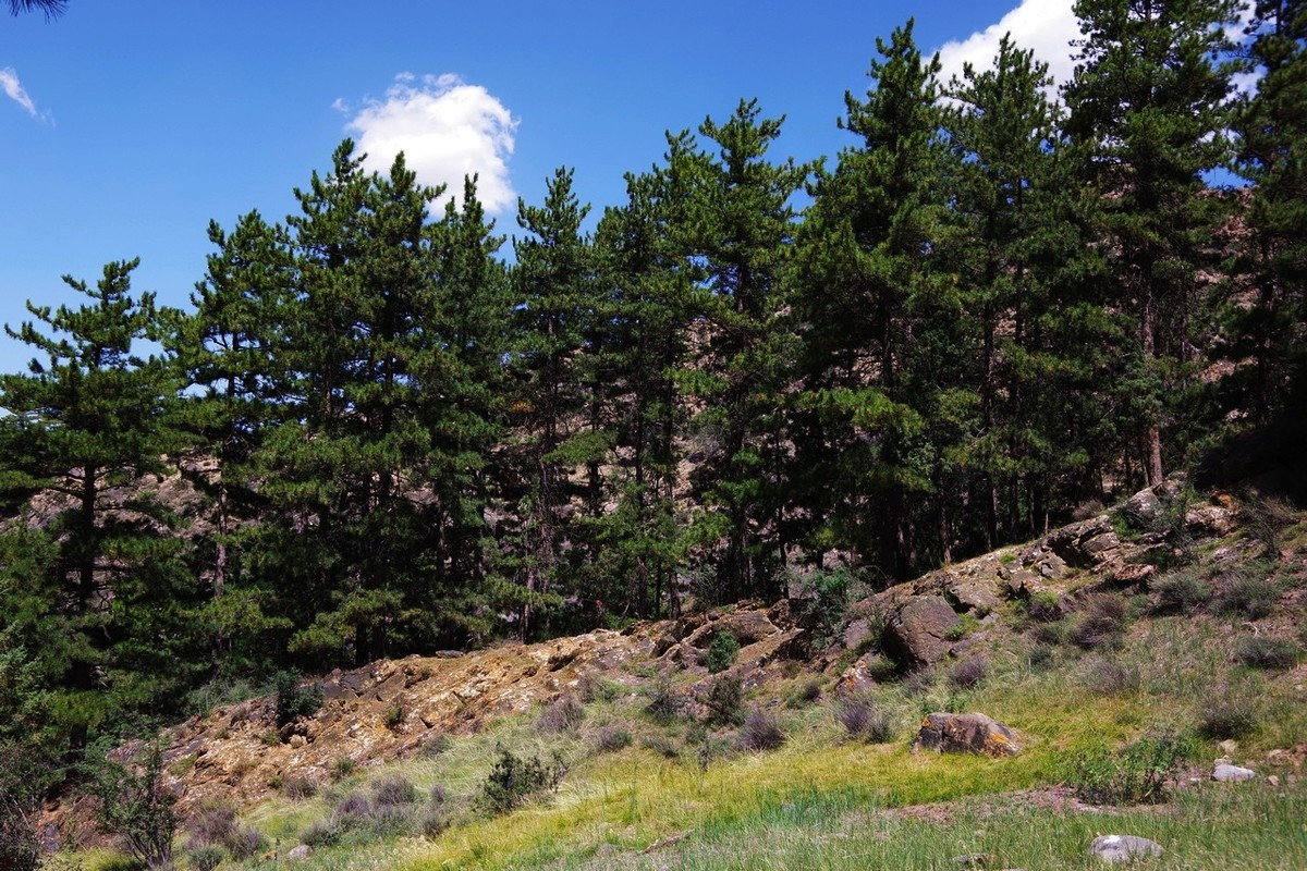 北寺及沿途所见