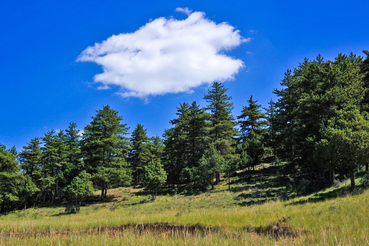 北寺及沿途所见