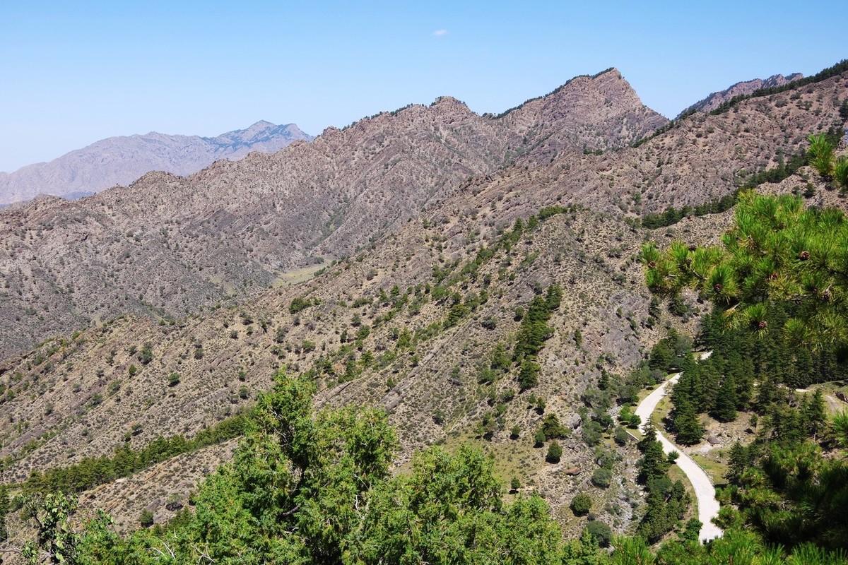 北寺及沿途所见