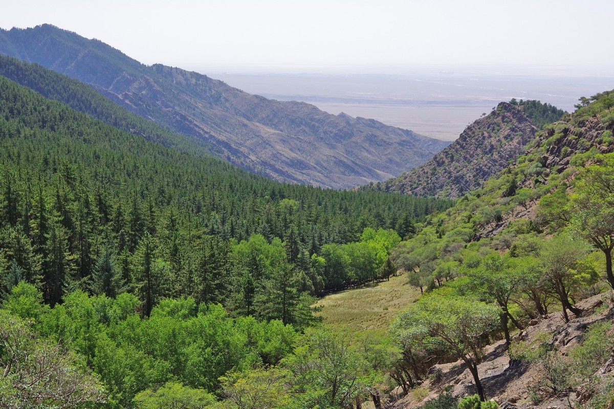 北寺及沿途所见