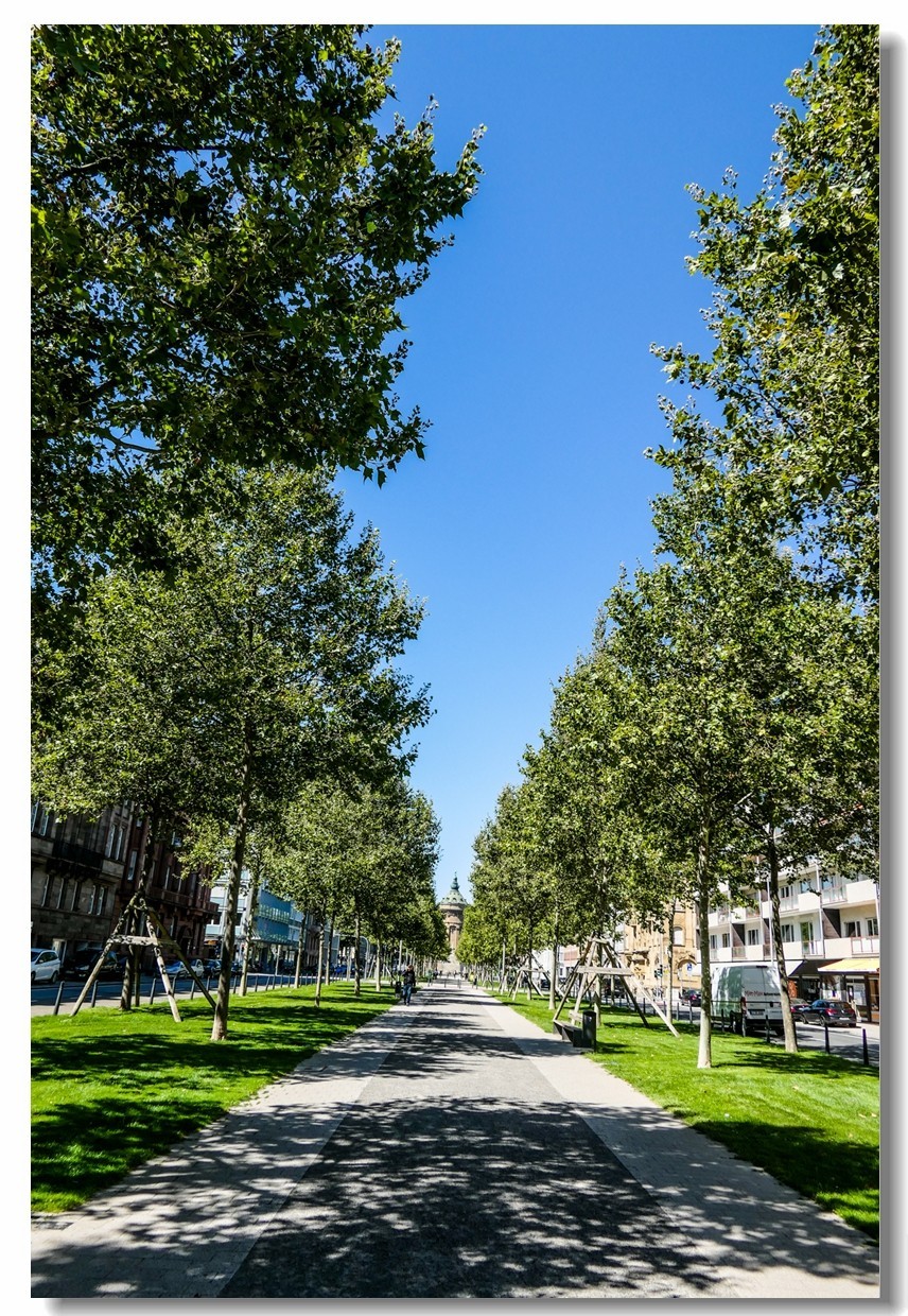 德国之工业化工机械重镇--曼海姆