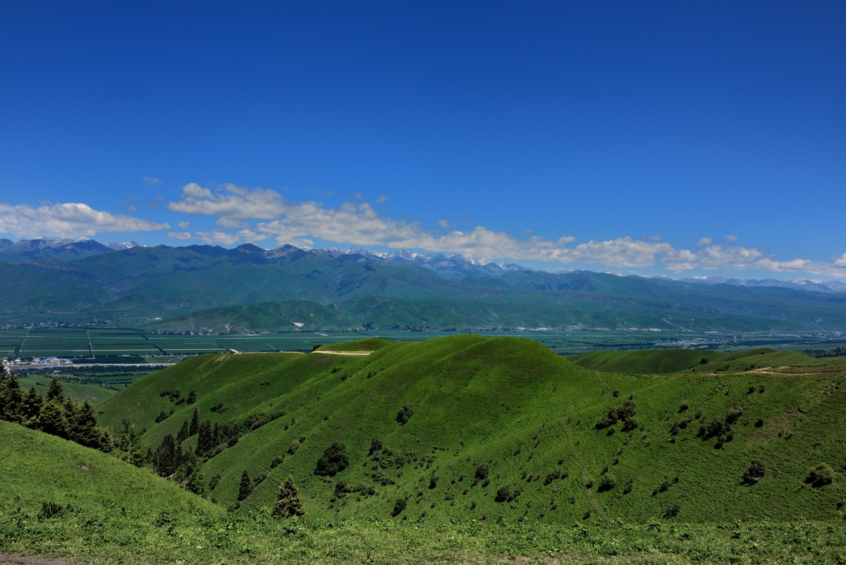 新疆夏季旅游景点，新疆夏天旅游景点