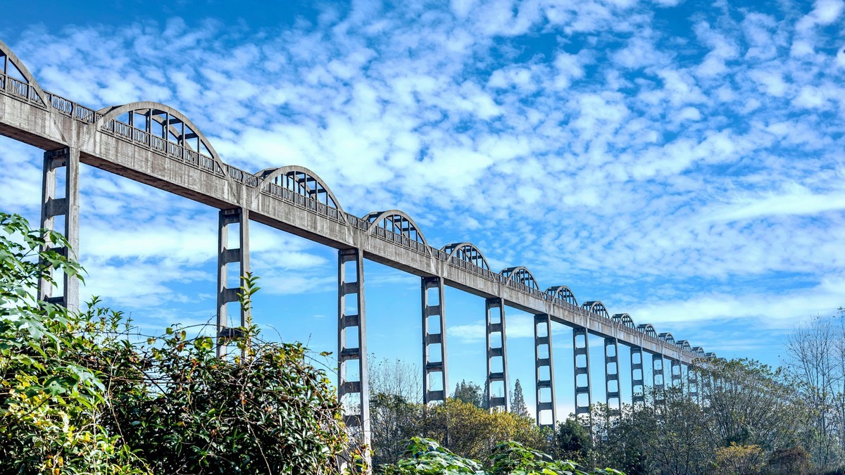 看一组Z24-120f/4s风景、微距及人像片，再谈谈这镜头