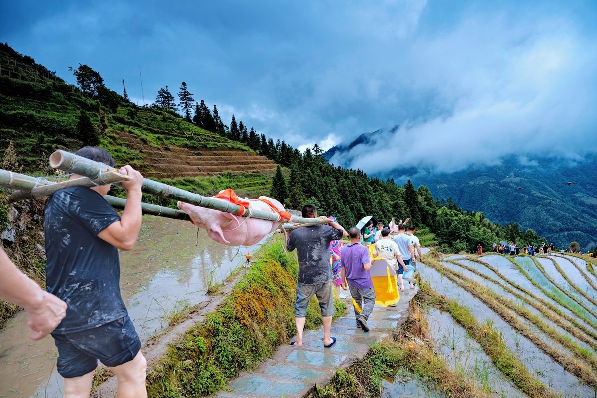 2024一一龙脊梳秧节