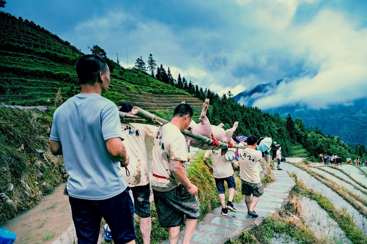 2024一一龙脊梳秧节