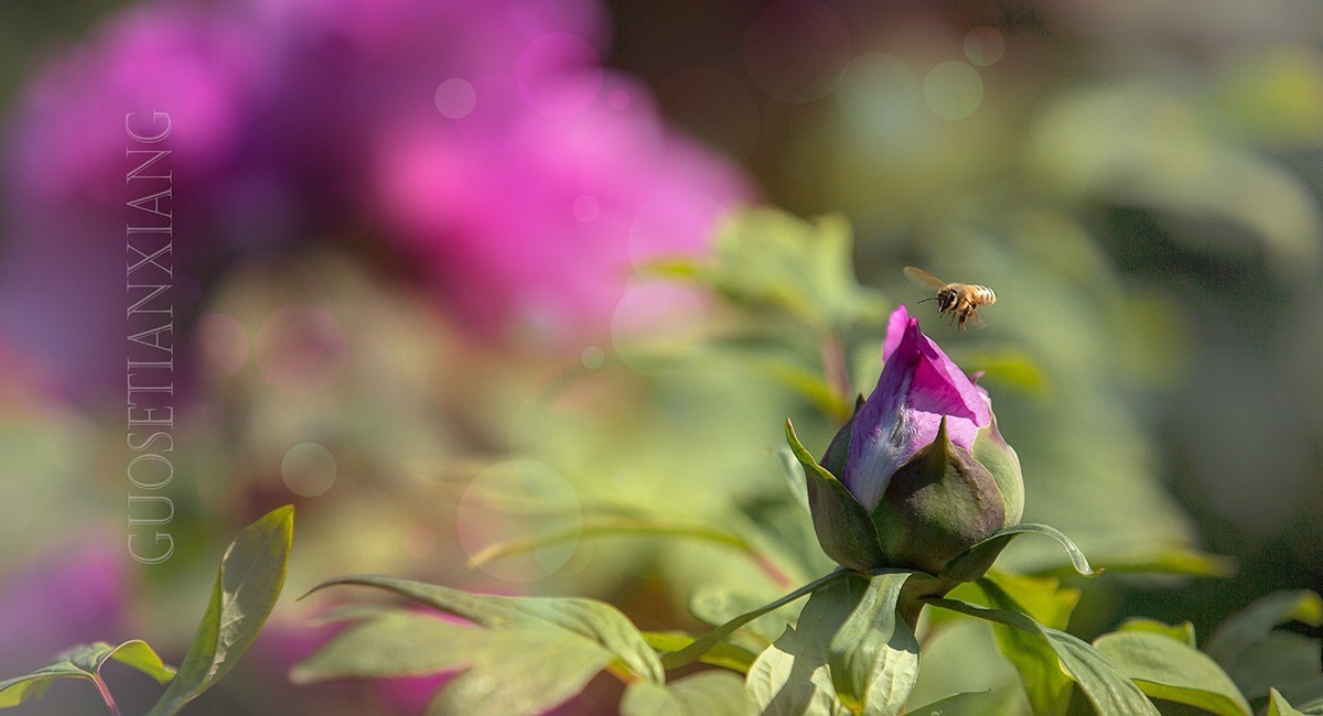 老片子 . 咔嚓瞬间