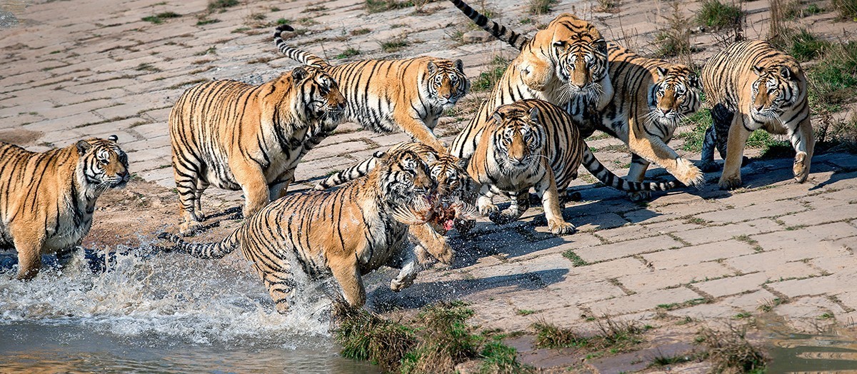老片子 . 咔嚓瞬间