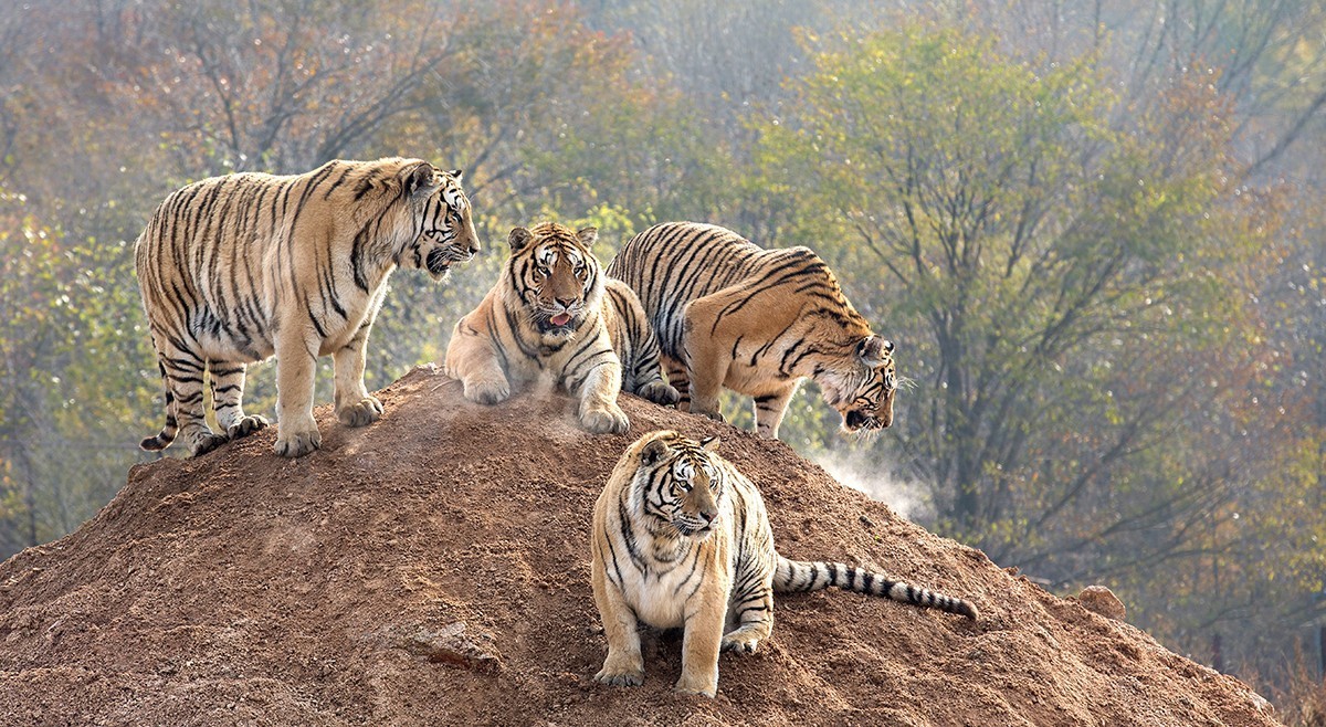 老片子 . 咔嚓瞬间