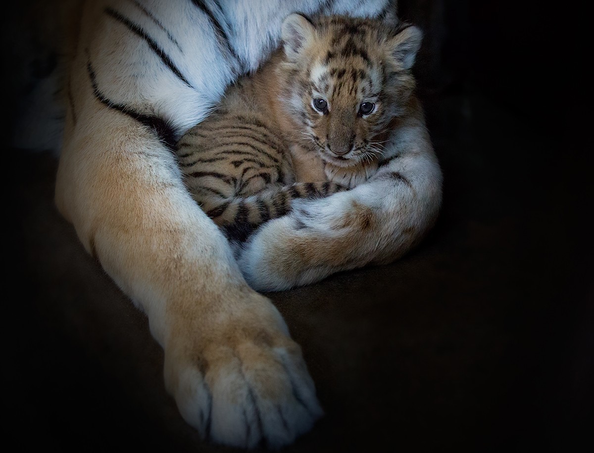 老片子 . 咔嚓瞬间