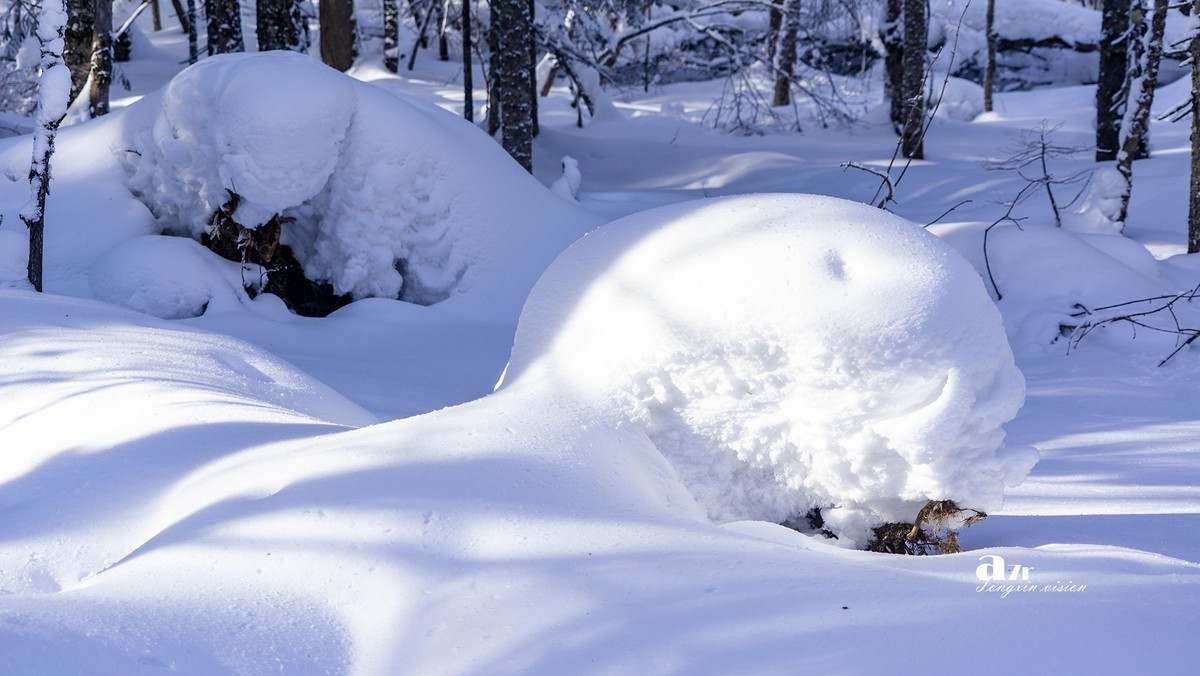 老克里湖林海雪原（13）