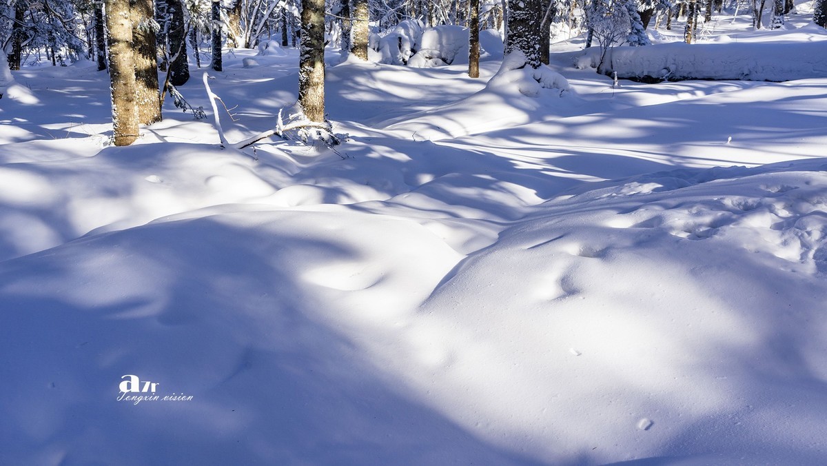 老克里湖林海雪原（13）