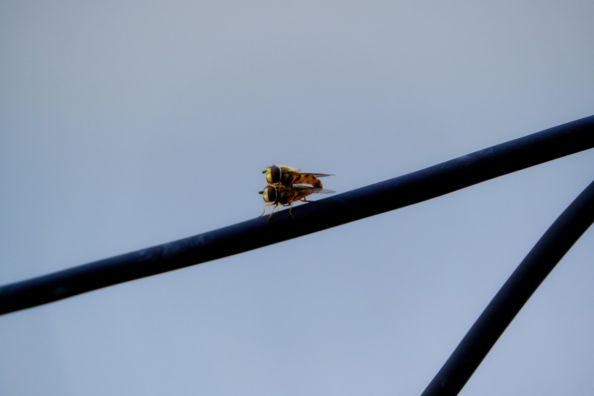 高空作业，请勿效仿！