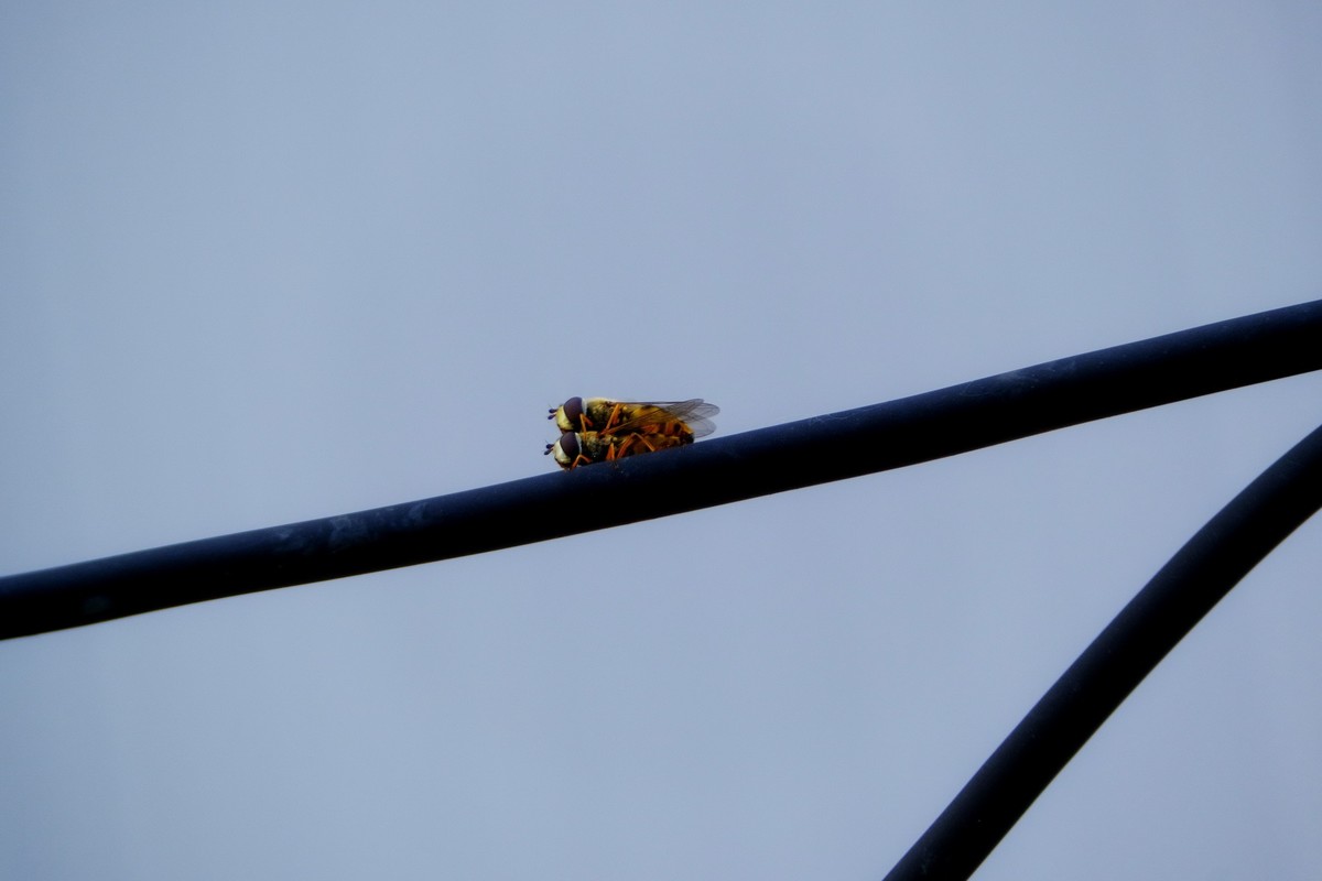 高空作业，请勿效仿！