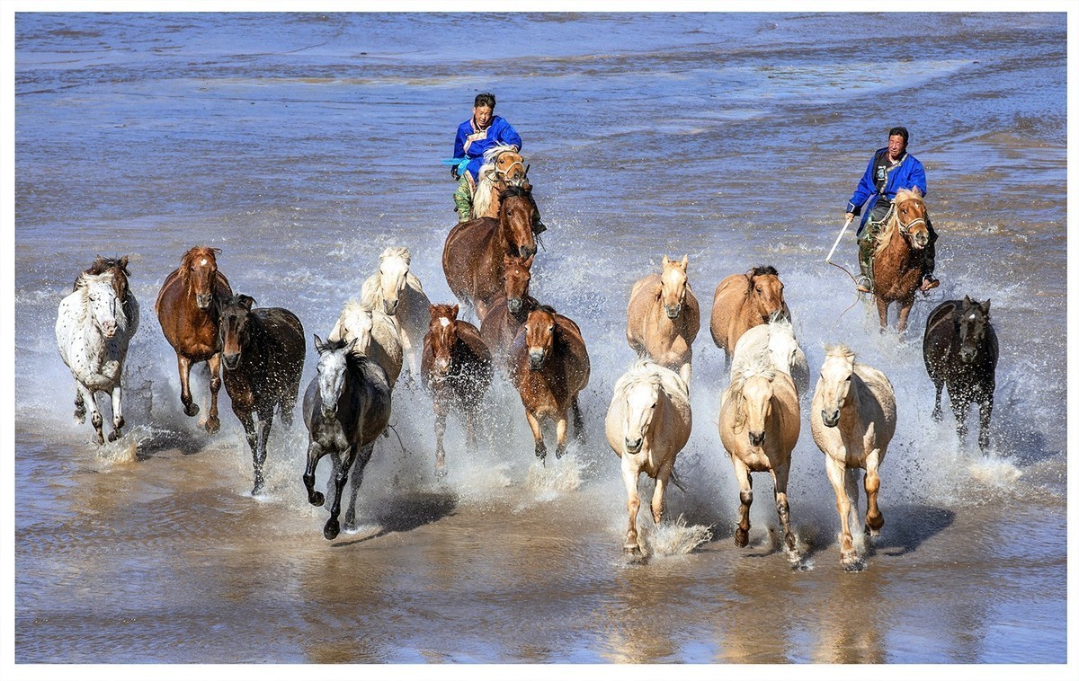 铁马冰河入梦来