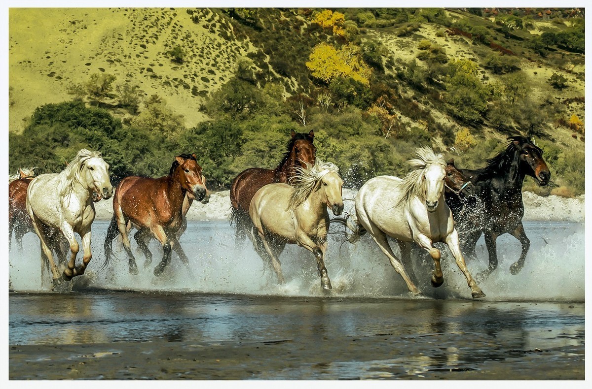 铁马冰河入梦来