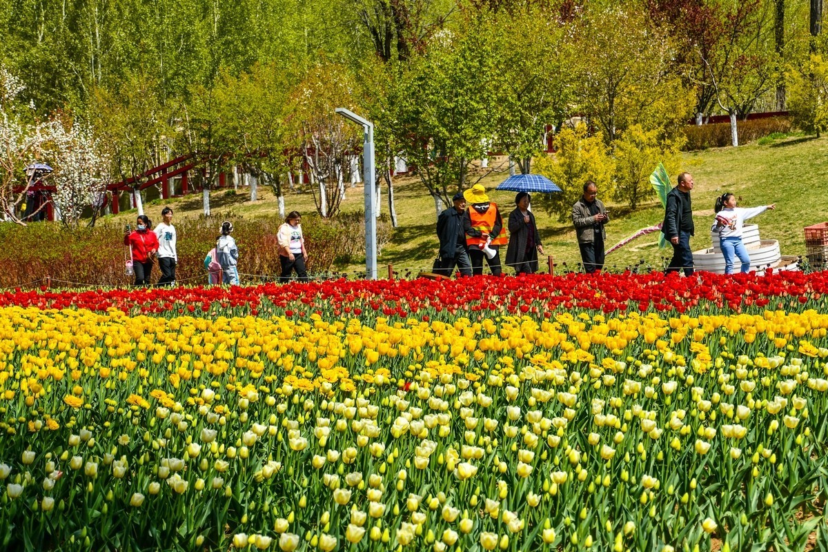 天水马跑泉公园