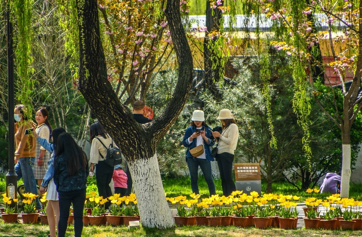 天水马跑泉公园