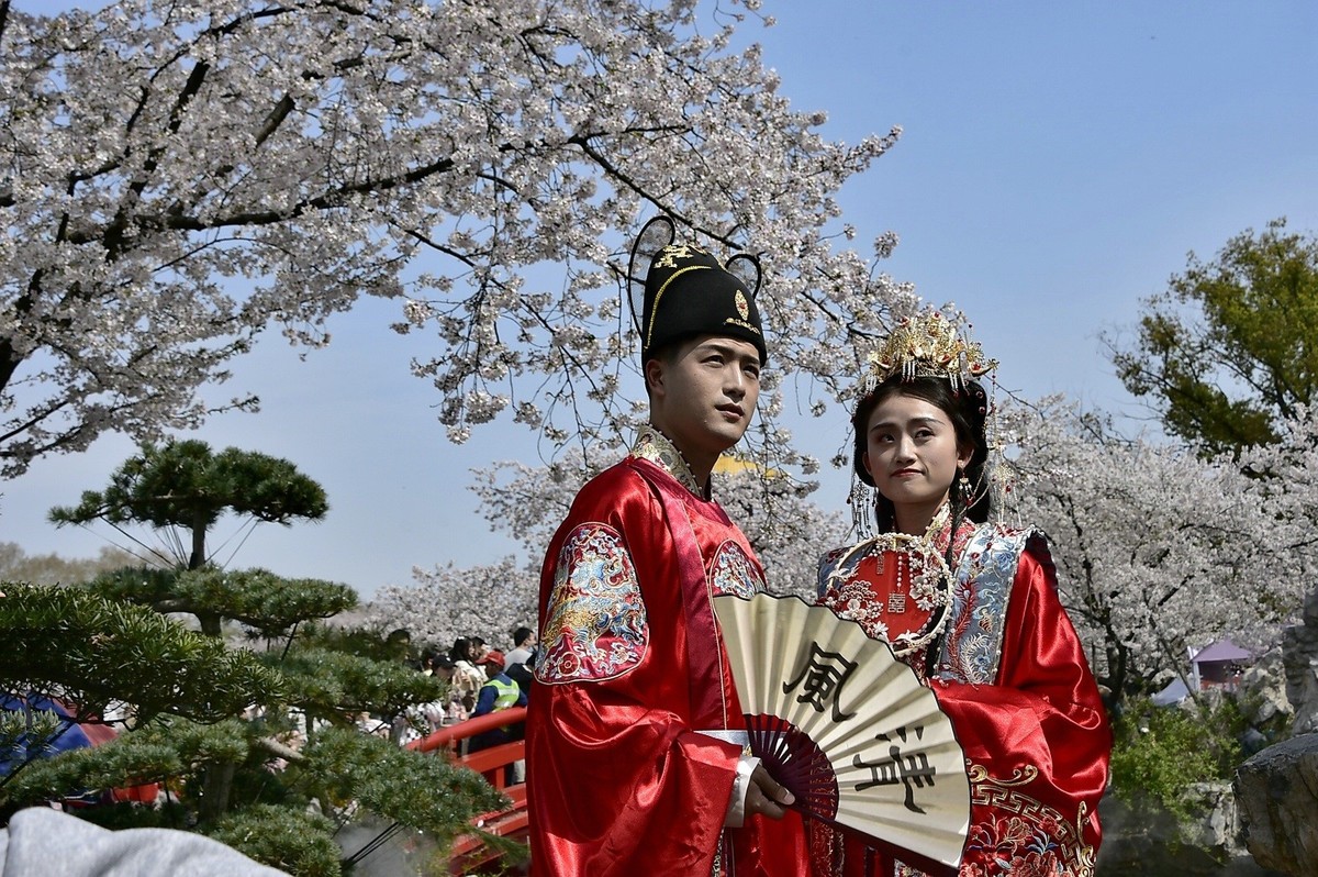 阳光灿烂樱花园