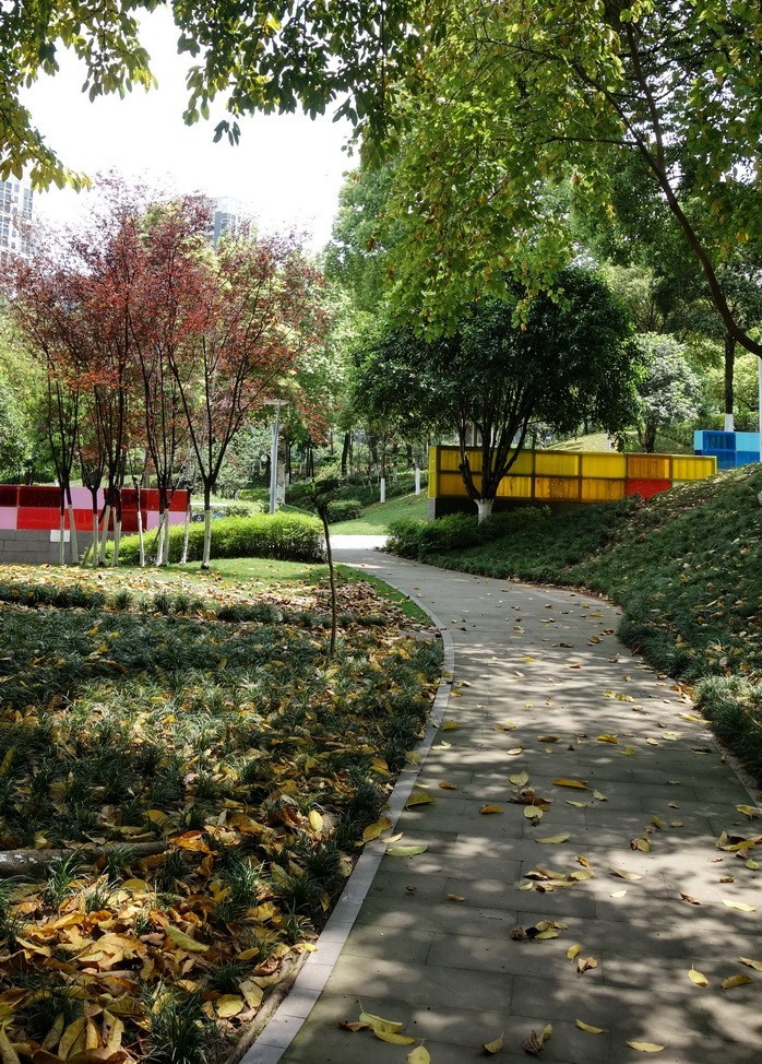 2023-04-25  重要的是忘了重庆酒店附近叫什么街道了