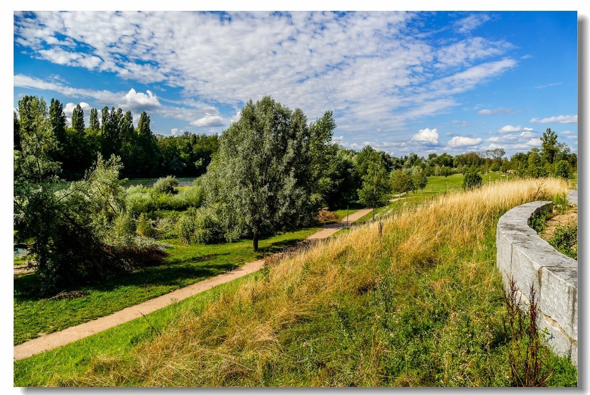 莱茵河畔（德国一侧）