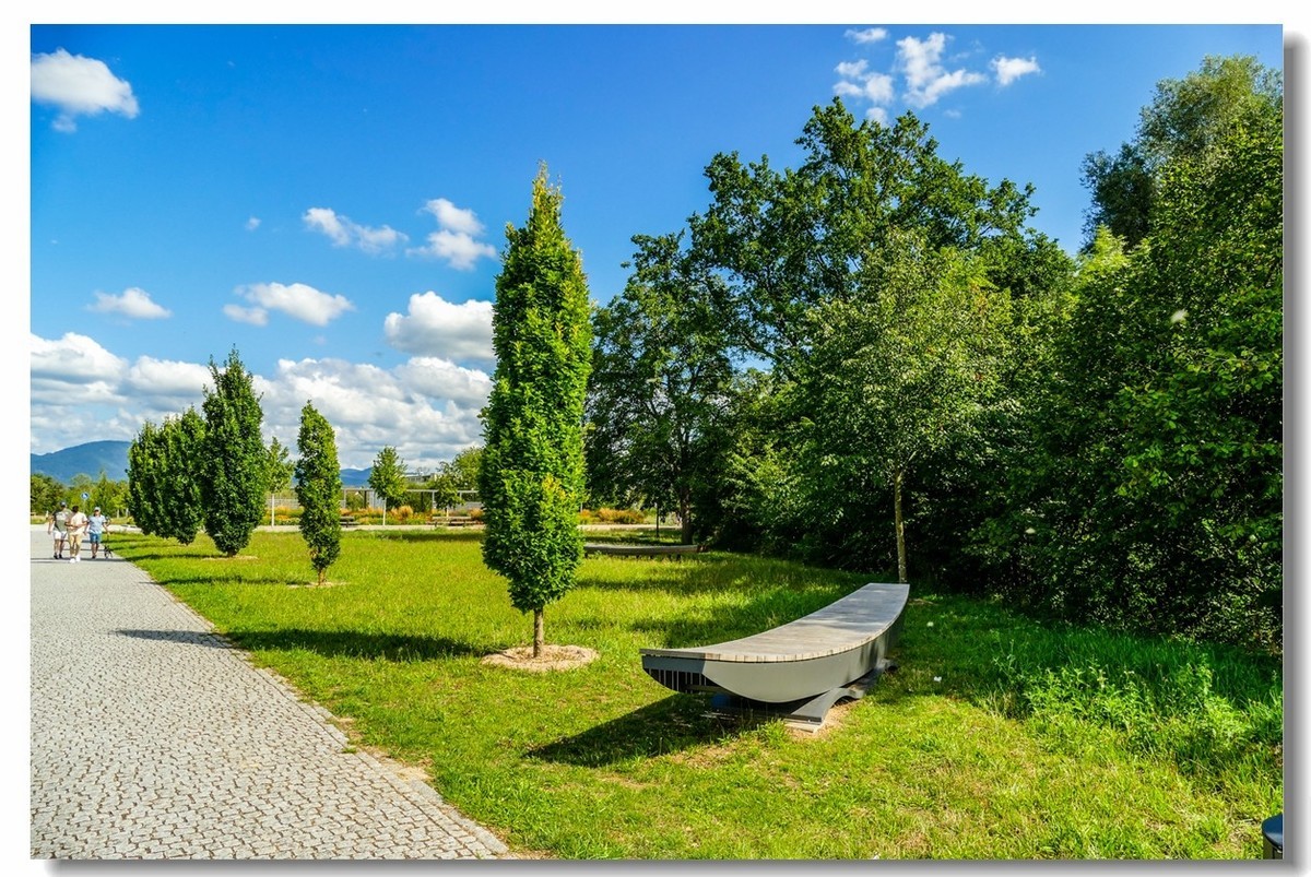 莱茵河畔（德国一侧）