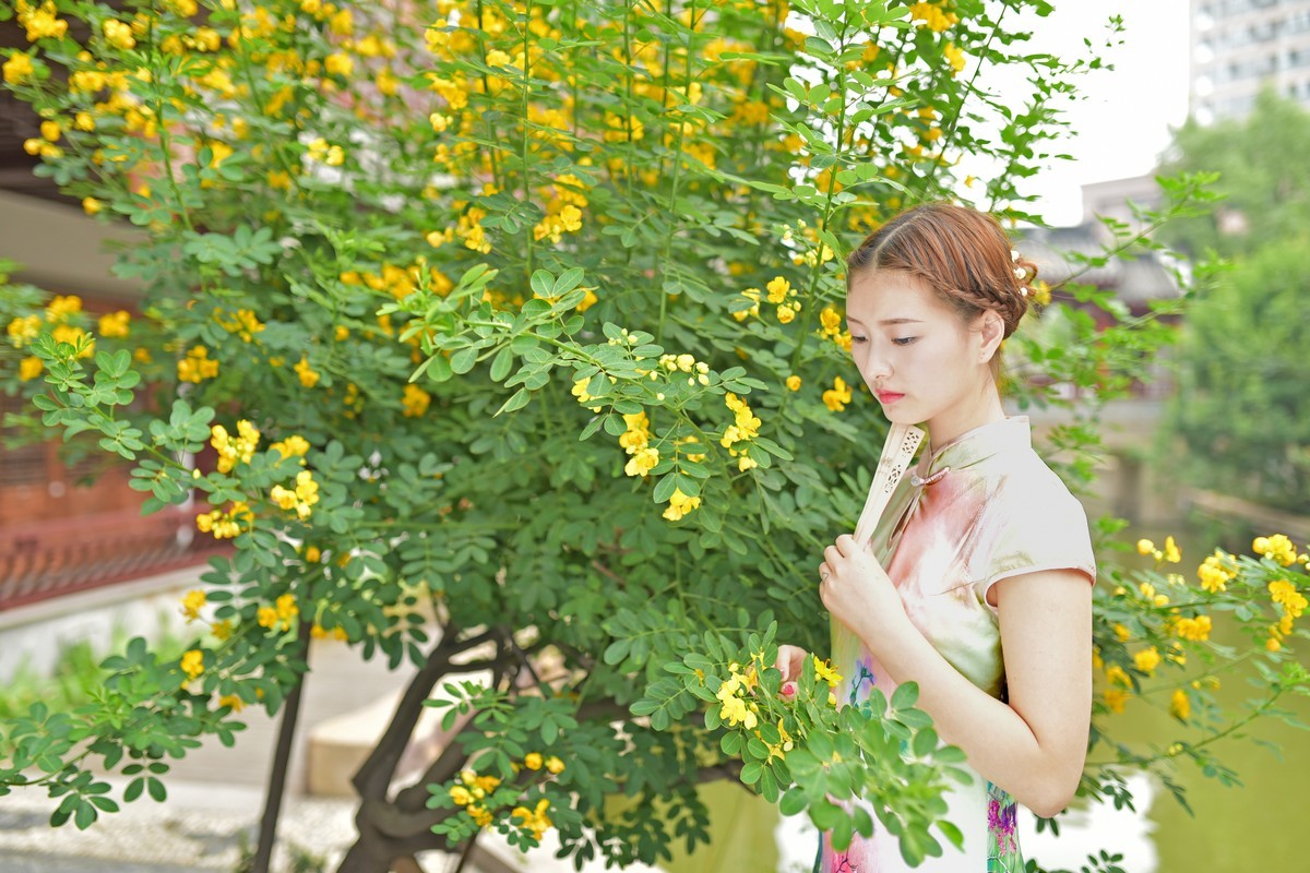 龙潭水乡 （1）