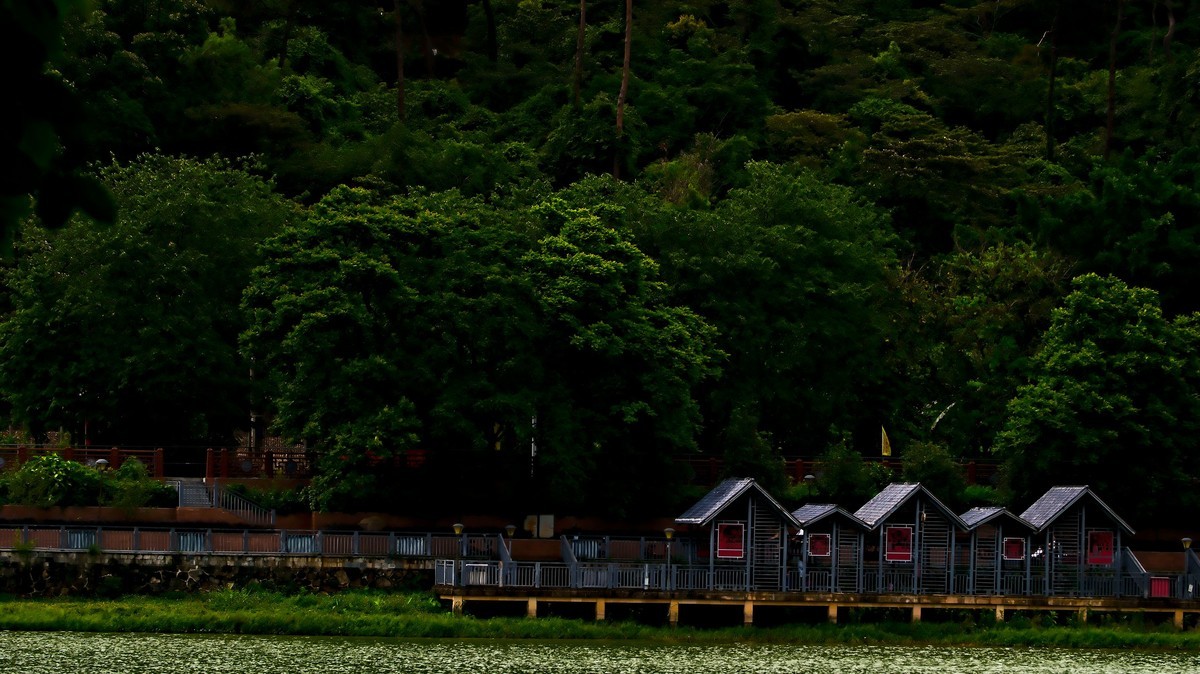 碧莲湖公园（三）