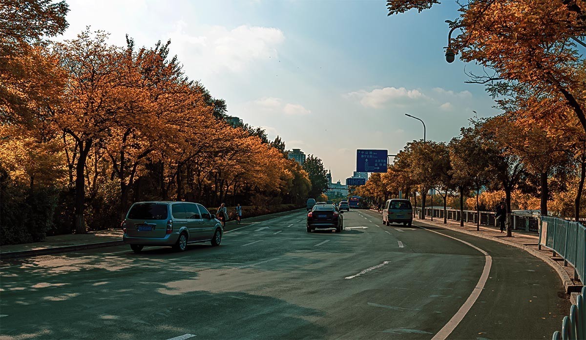 随                                    拍