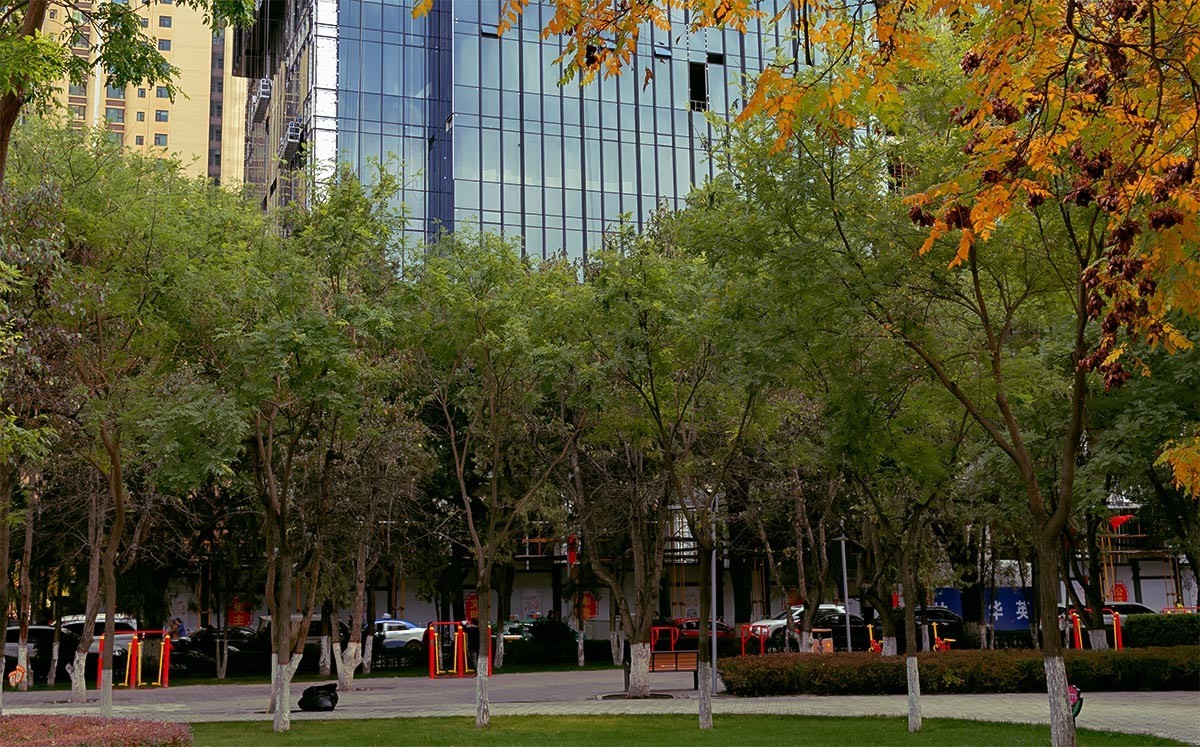 随                                    拍