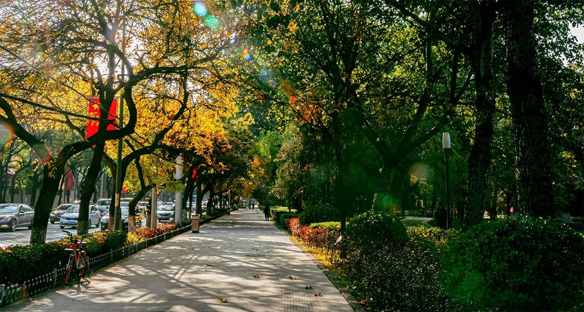 随                                    拍