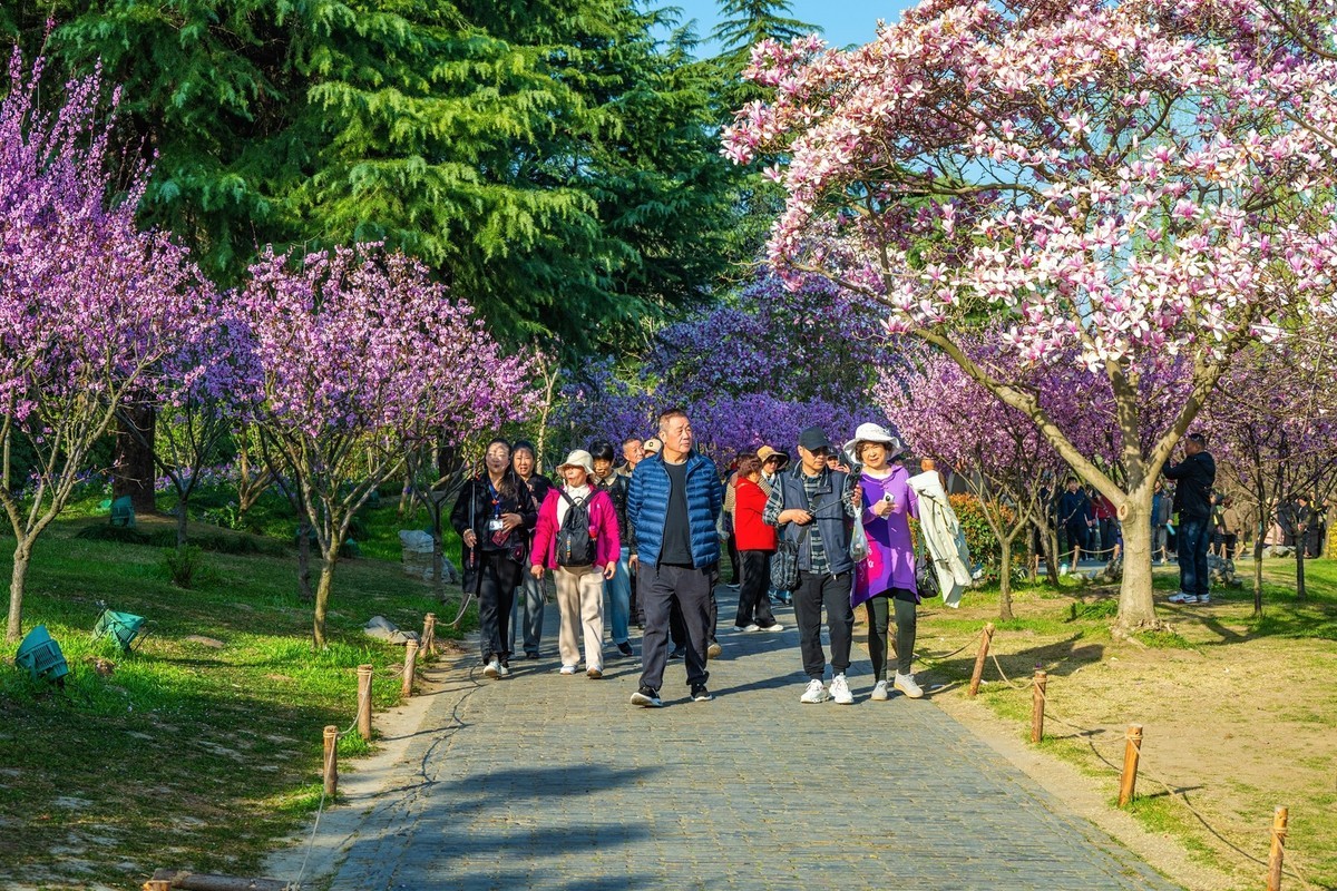 江南行—扬州瘦西湖—(36)—(18)