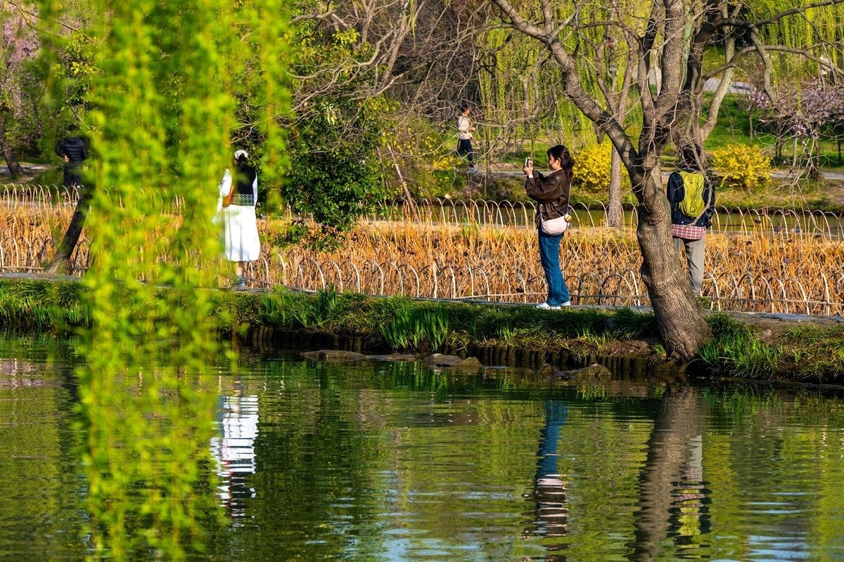 江南行—扬州瘦西湖—(36)—(18)