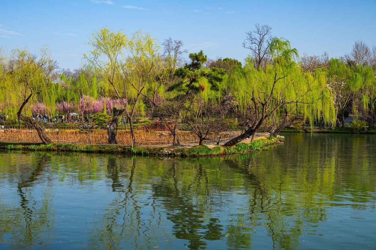 江南行—扬州瘦西湖—(36)—(18)