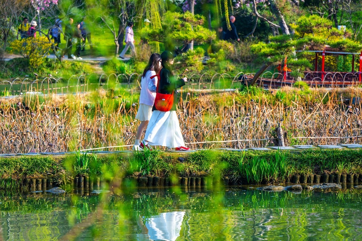 江南行—扬州瘦西湖—(36)—(18)