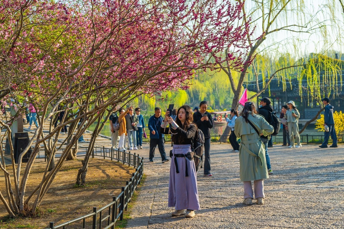 江南行—扬州瘦西湖—(36)—(18)