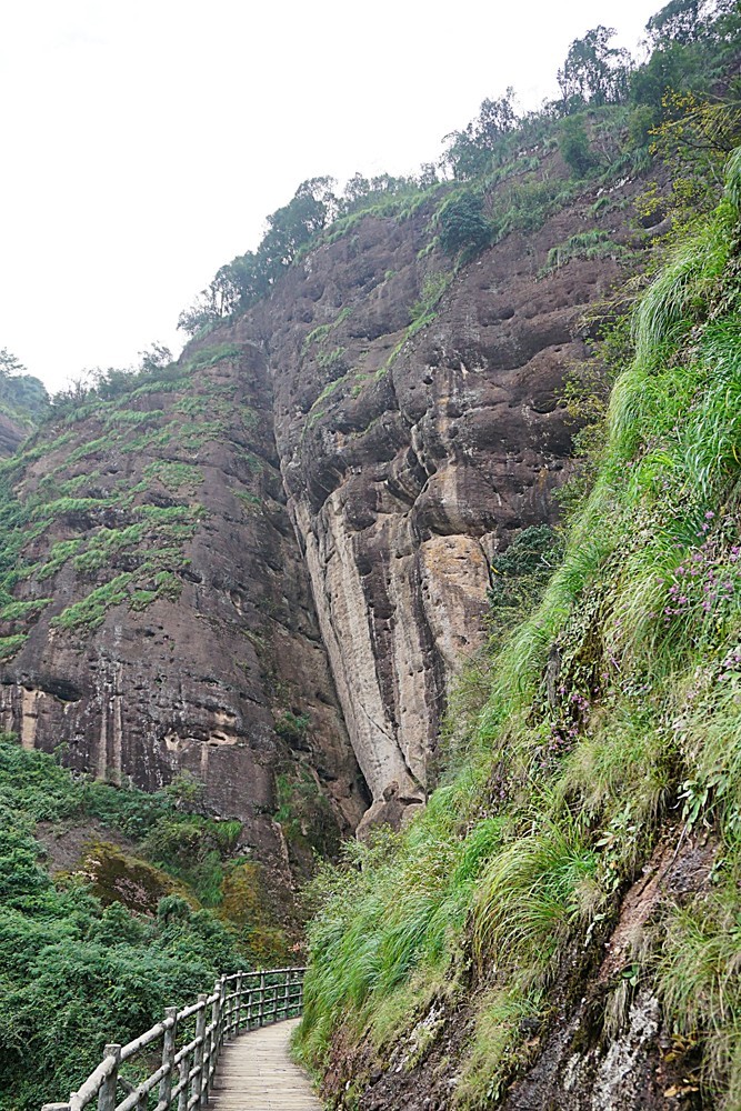 龙虎山景区  象鼻山（三）