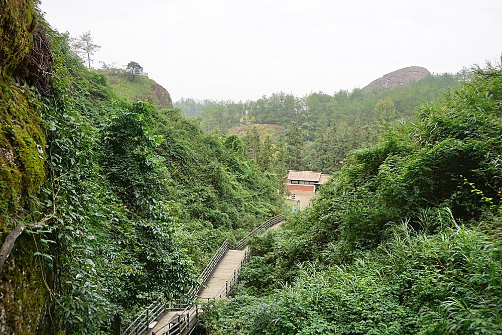 龙虎山景区  象鼻山（三）