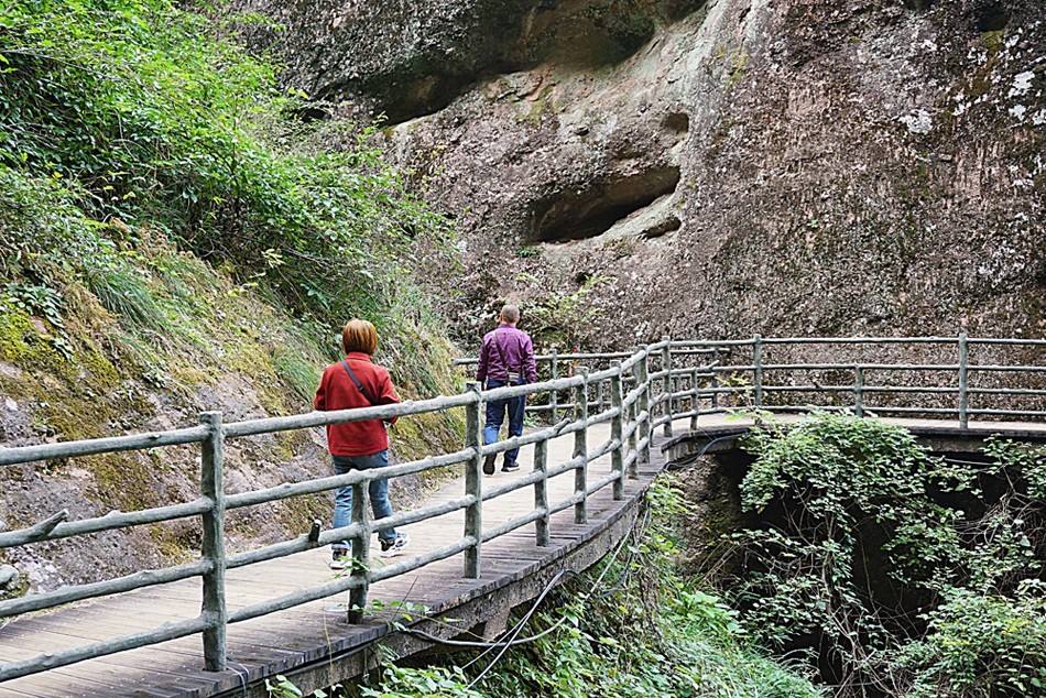 龙虎山景区  象鼻山（三）