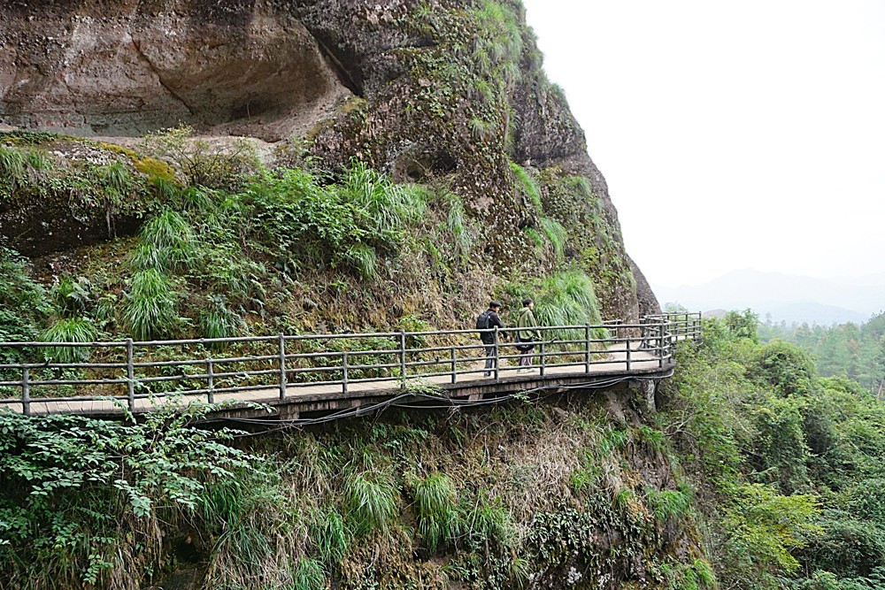龙虎山景区  象鼻山（三）