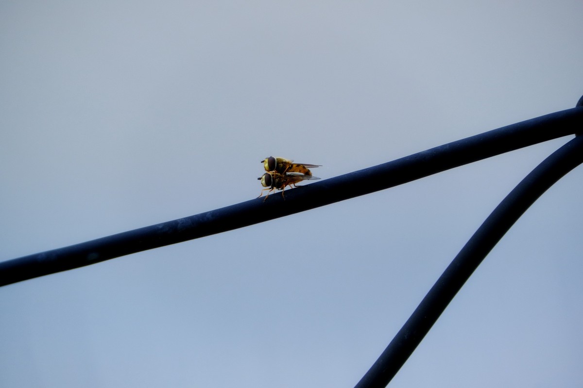 高空作业，请勿效仿！