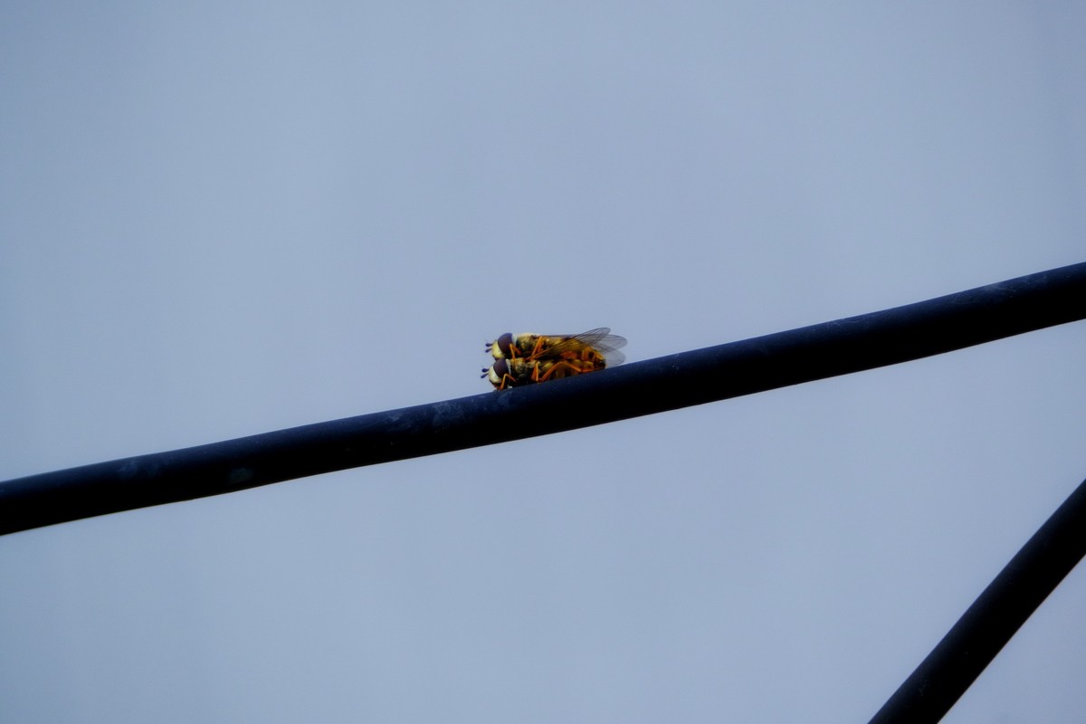 高空作业，请勿效仿！