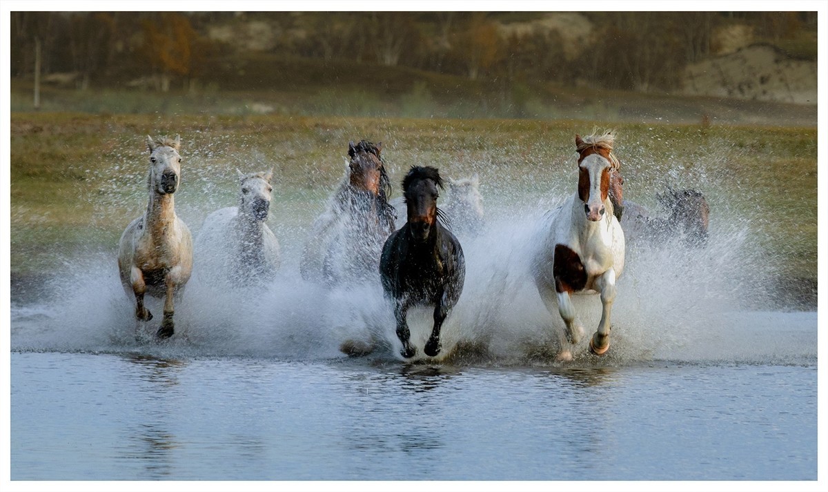铁马冰河入梦来