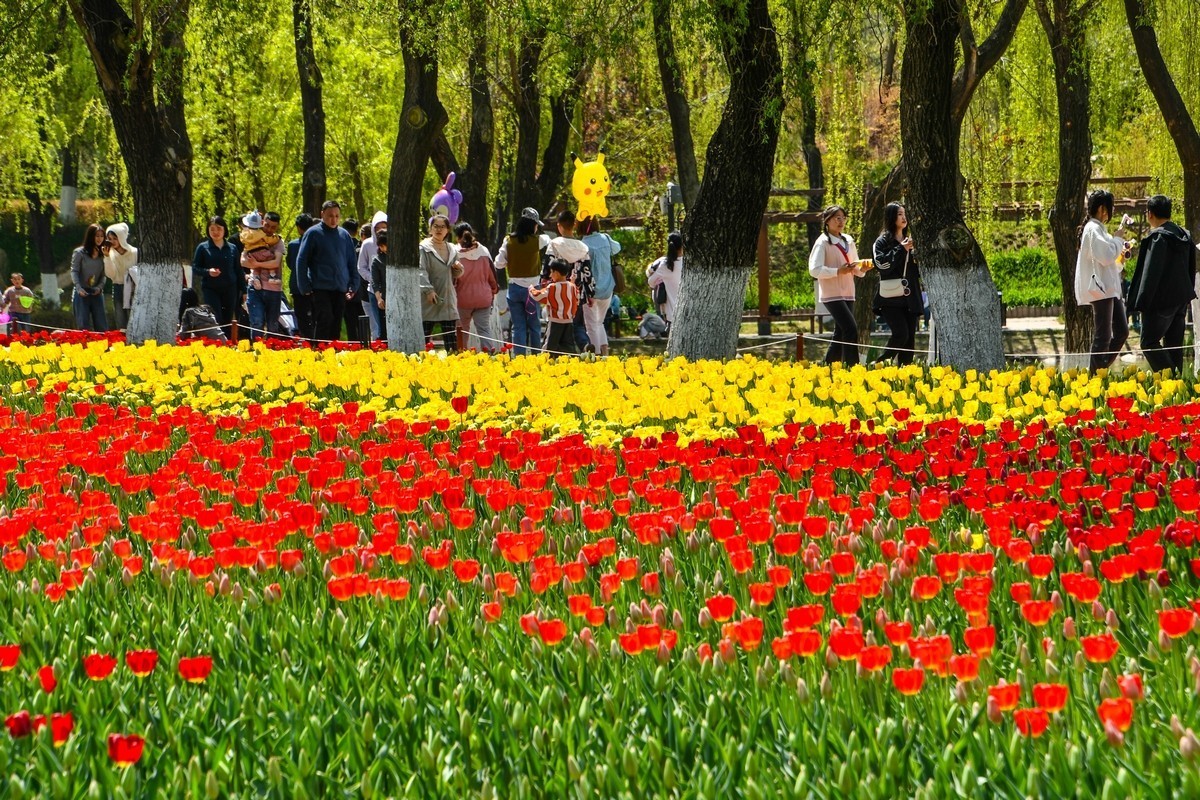 天水马跑泉公园